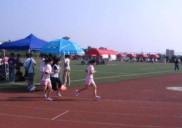 乐健体育组织的校园跑步活动